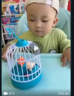 Talking Singing Birds Toy  طيور تتكلم وتغني
